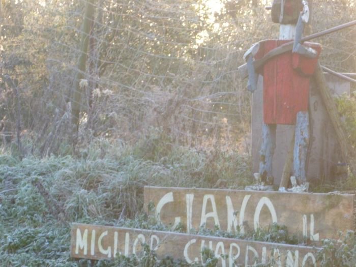 cascine di buti_16.JPG