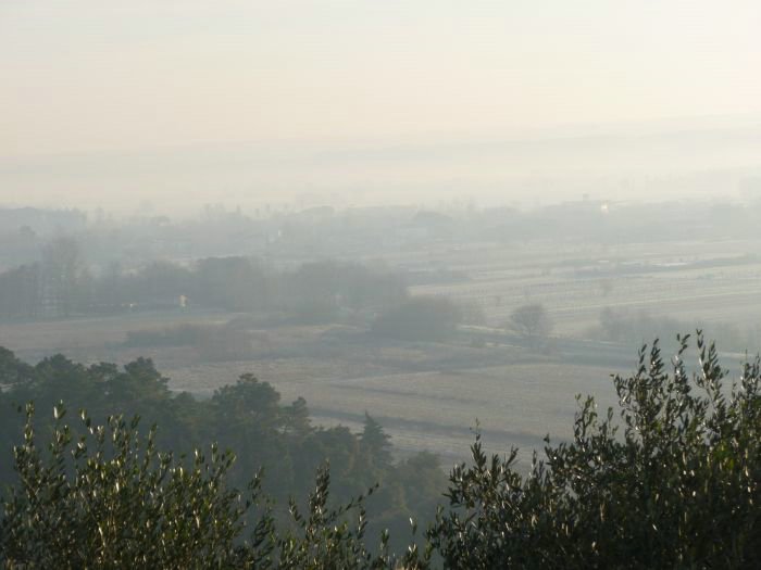 cascine di buti_22.JPG