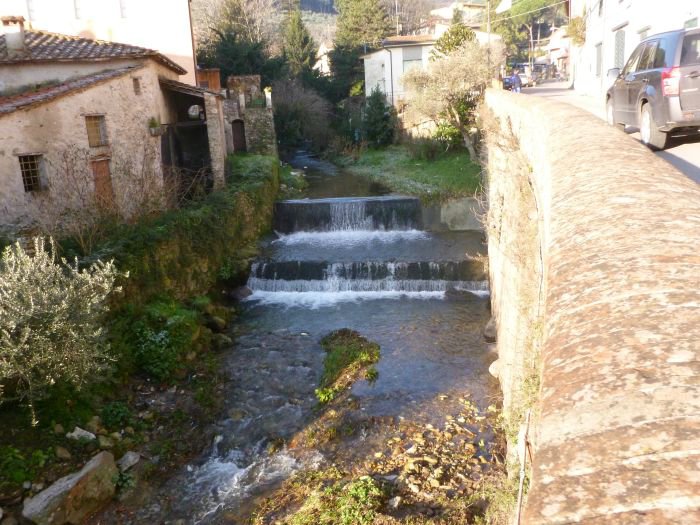 cascine di buti_30.JPG