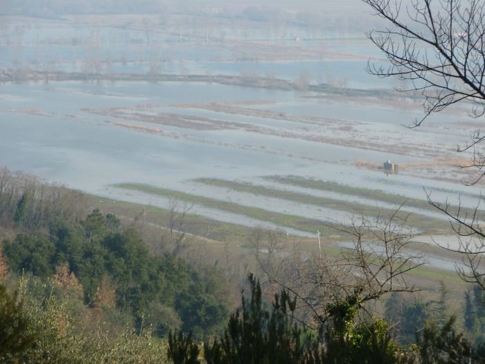 cascine di buti_41.JPG