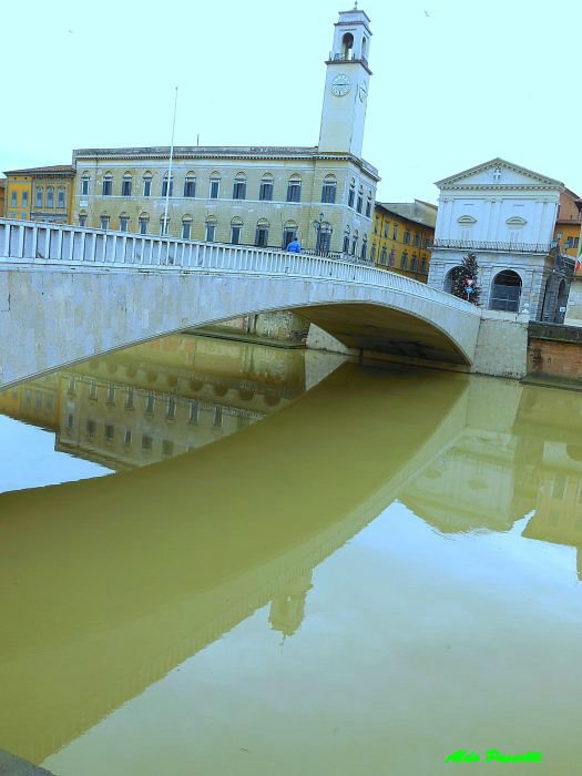 pisa_59.JPG