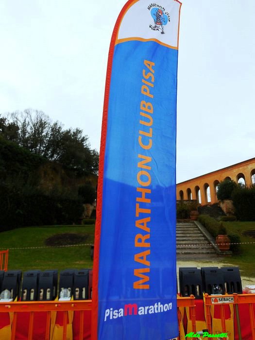 pisa_73.JPG