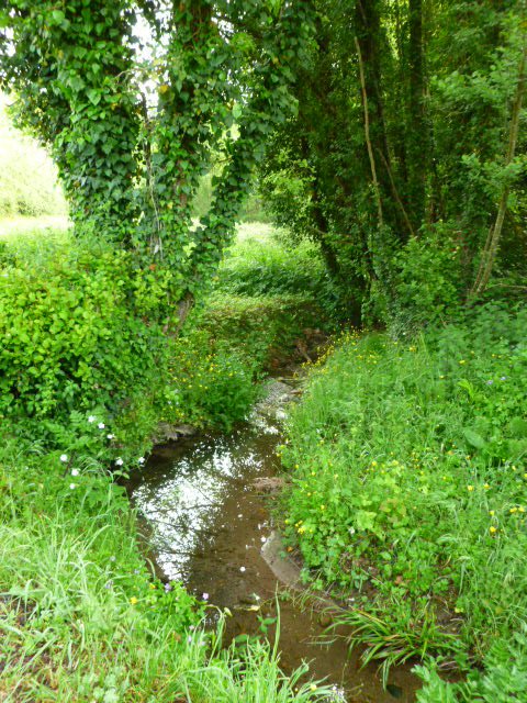 P1090829 - Copia - Copia.JPG