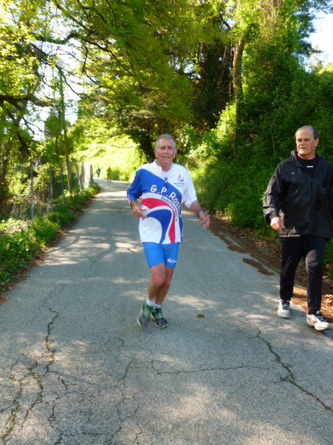 P1090849 - Copia.JPG