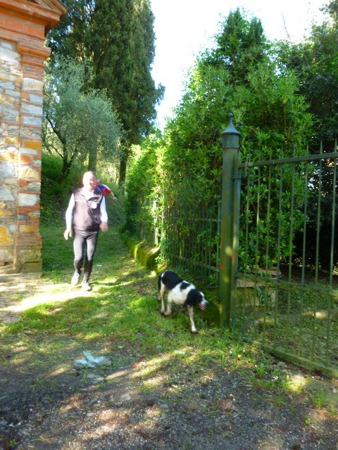 P1090855 - Copia.JPG