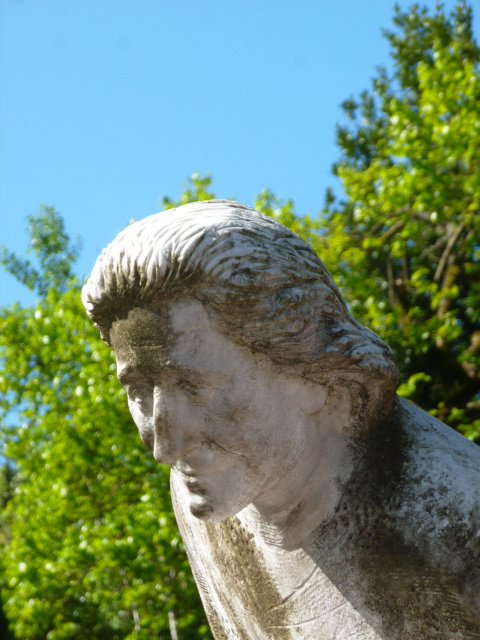 P1090859 - Copia.JPG