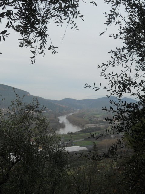 DSCN9913 - Copia.JPG