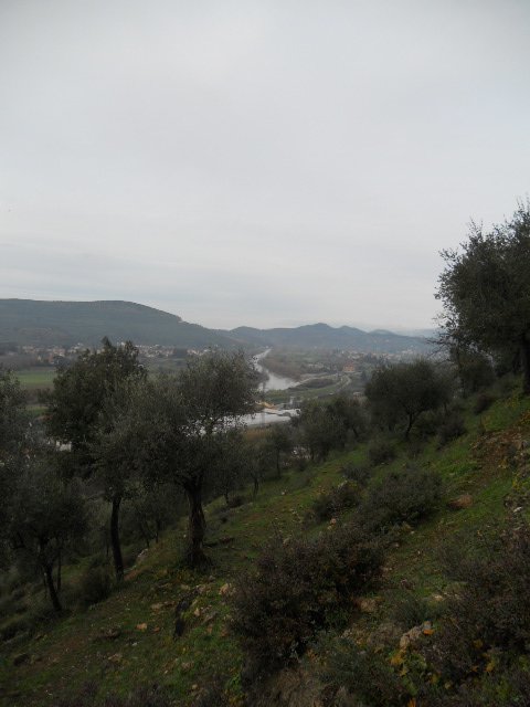 DSCN9920 - Copia.JPG