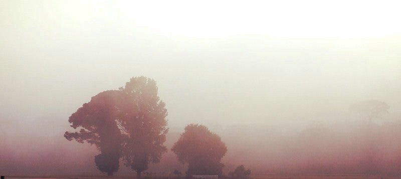 san rossore_1239.JPG