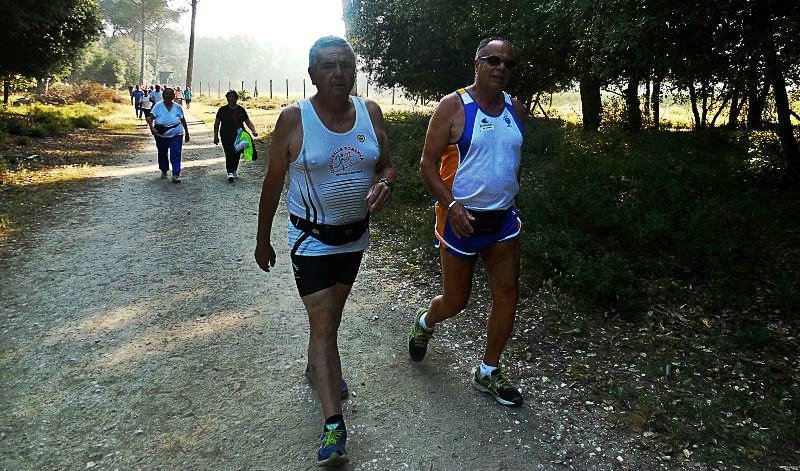 san rossore_1256.JPG