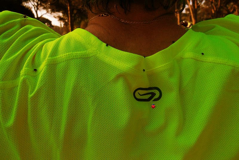 san rossore_1261.JPG