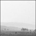 Solitudine di ludici motori.jpg