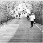 Sulla scia dei ludici motori.jpg