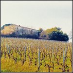 Vitigni invernali e cascina.jpg