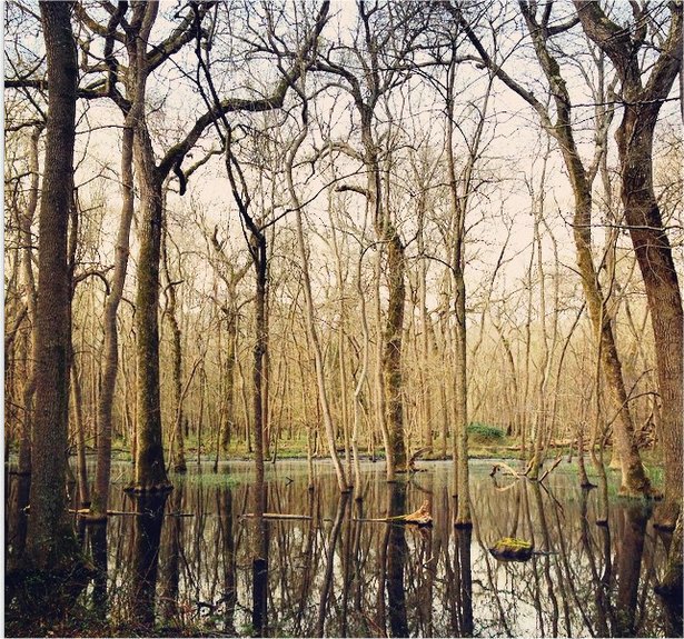 Lame ovunque sul tracciato.jpg