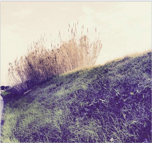 Pubblico alle Lenze.jpg