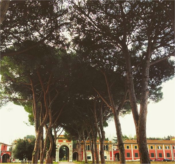 Savoia a San Rossore.jpg