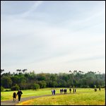 Filamenti di podisti..jpg