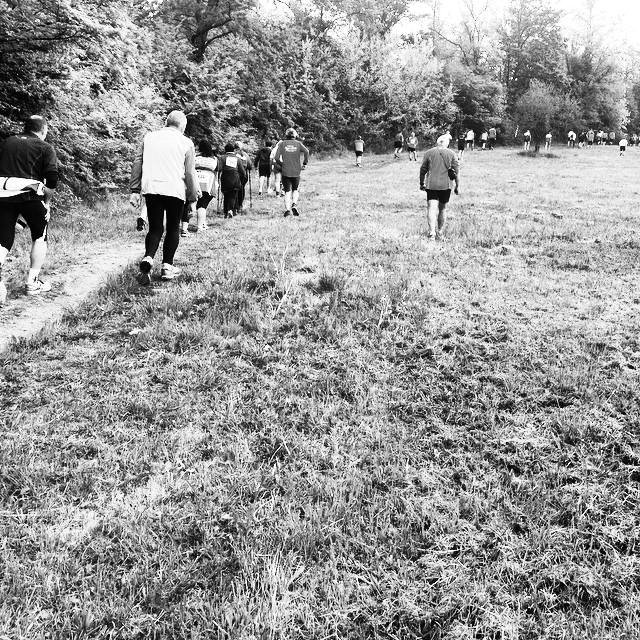 Sciame di podisti.jpg