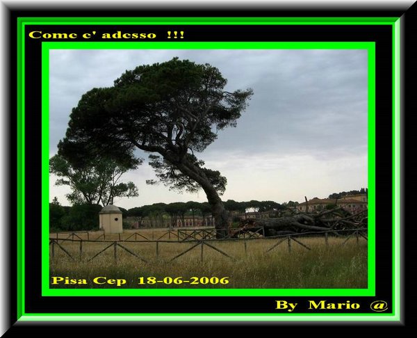 La fine di una BELLEZZA  !!!.jpg