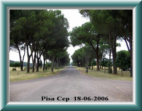 Viale vietato ai podisti  !!!.jpg