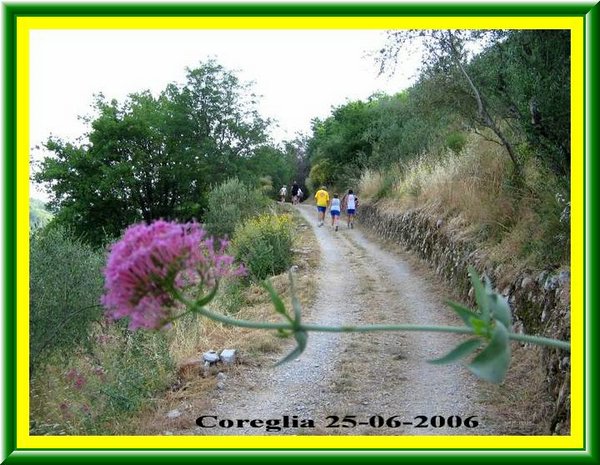 Podisti in...Lontananza !!.jpg