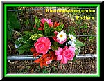 Dolce Ricordo !!.jpg